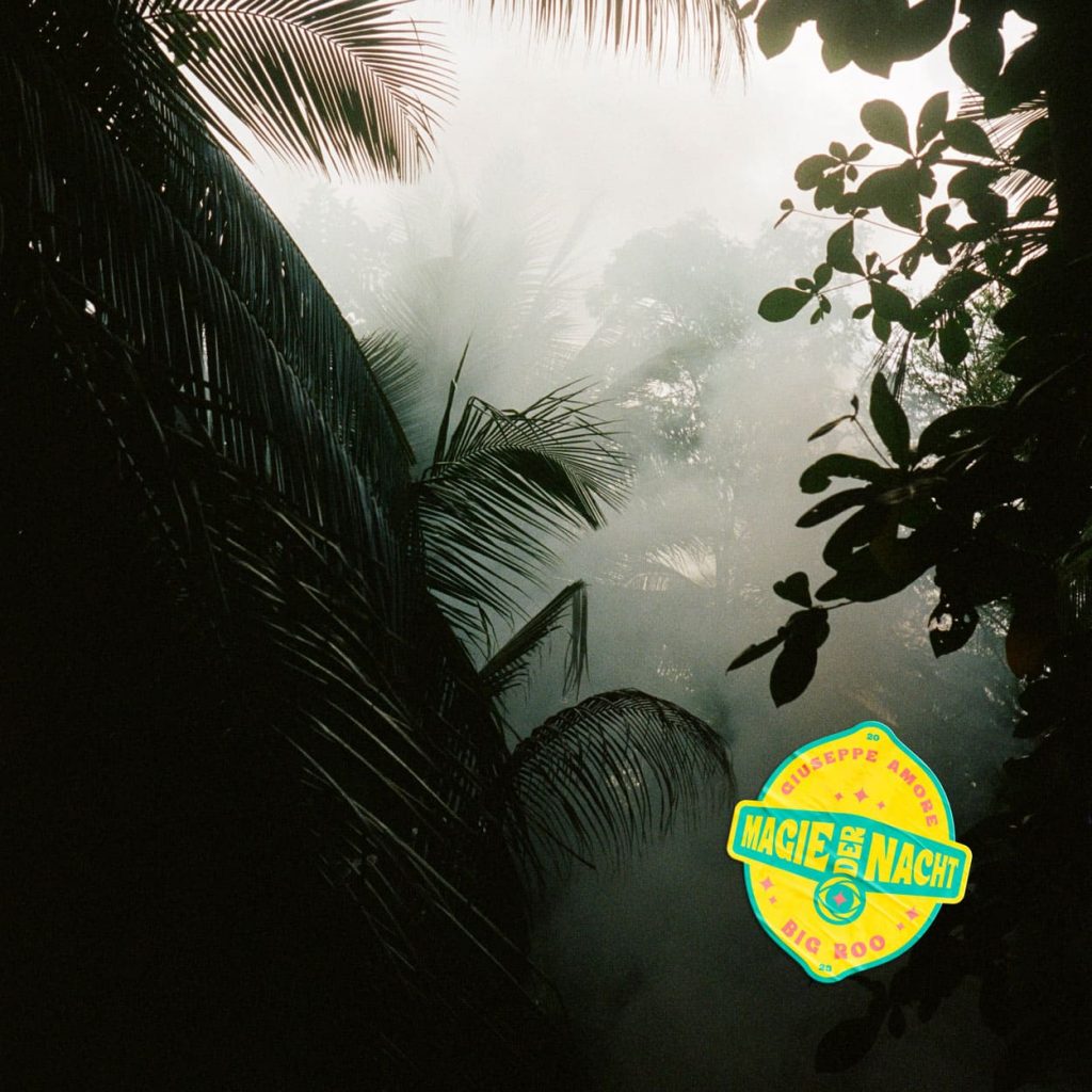 Magie der Nacht Vinyl